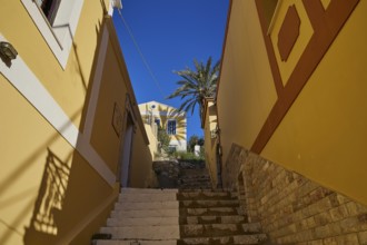Narrow alley with steps between yellow buildings, with a palm tree and sunny sky, Symi Town, Symi,