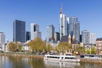 Frankfurt skyline skyscrapers with banks on the river Main with excursion boat in Frankfurt,
