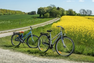 Two bicycles parked by small country roads by rapeseed fields in Sjörup, Ystad municipality, Skåne