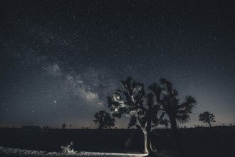 Starry sky with the Milky Way in Joshua Tree National Park