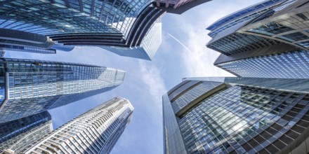Frankfurt skyline skyscrapers buildings banks modern work offices panorama in Frankfurt, Germany,