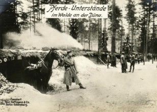 Horse shelters in the forest on the Düna, 1914 - 1918, World War I, reproduction of a war postcard
