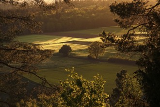 Landscape in the Black Forest, evening in May, Baden-Württemberg, Germany, Europe