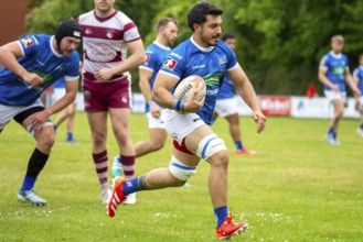 Rugby 1st Bundesliga South/West, Season 2024/25, Matchday 14: SC Neuenheim vs RSV Köln