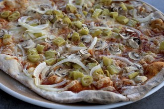 Pizza Vegetaria, Close up, Bavaria, Germany, Europe