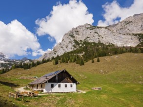 Halsalm, above the Reiteralpe, Ramsau bei Berchtesgaden, Berchtesgadener Land, Upper Bavaria,