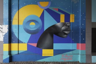Realistic face with VR glasses made of geometric shapes, 3D portrait, mural by street artist SKIO,
