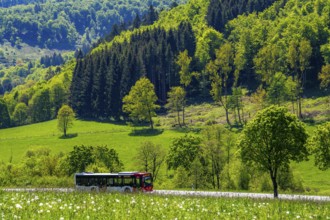 Local bus, RB48, on the country road in the Orketal, near Elkeringhausen, a district of Winterberg
