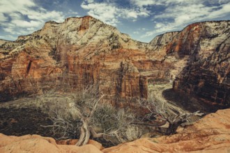 Zion National Park