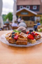 Waffles with ice cream and berries served outside on a terrace, Cafehäusle Calw, Black Forest,
