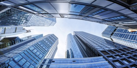 Frankfurt skyline skyscrapers buildings banks panorama modern work offices in Frankfurt, Germany,