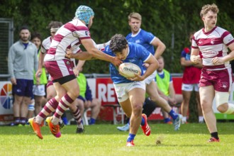 Rugby 1st Bundesliga South/West, Season 2024/25, Matchday 14: SC Neuenheim vs RSV Köln