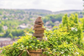 A stone tower sits on ivy, surrounded by green nature and an urban background, Panorama Holzsteg,