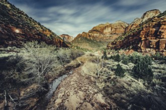 Zion National Park