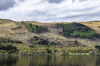Farm and mountains, Loch Earn, Southern Highlands, Scotland, United Kingdom, Europe