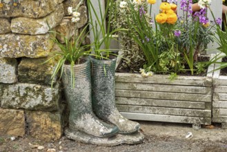 Old boots as flower pot, flowers, Bourton-on-the-Water, The Cotswolds, Gloucestershire, England,