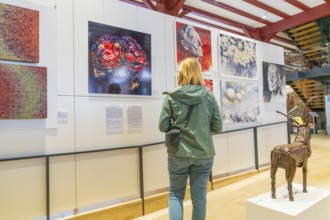 A woman in an art exhibition looks at modern artworks and sculptures, Calw, Black Forest, Germany,