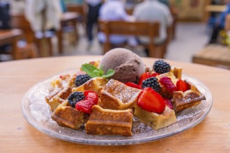 Appetising presentation of waffles with berries and ice cream on the terrace, Cafehäusle Calw,