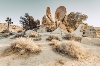 Joshua Tree National Park