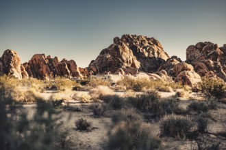 Joshua Tree National Park