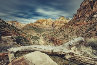 Zion National Park