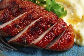 Roast duck breast, sliced with mashed potatoes, on a plate, close-up, no people