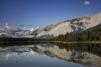 A calm lake reflects surrounding Canadian Rocky Mountains and forests under a clear blue sky with