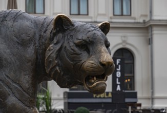 A close-up picture of the iconic Tiger statue of Oslo, at the Jernbanetorget Square. Designed by