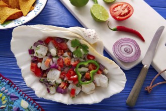 Ceviche Mexican food style recipe with nachos and ingredients