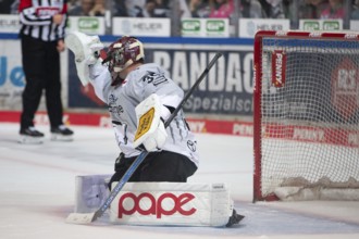 Balver Zinn Arena, Iserlohn, North Rhine-Westphalia, Julius Hudacek (Koelner Haie, #35), PENNY DEL,