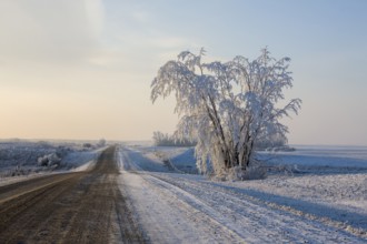 Winter Frost Saskatchewan Canada ice storm danger