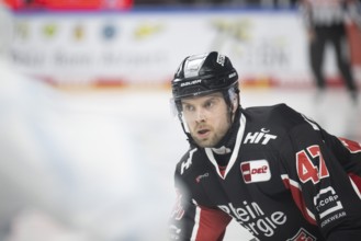 LanxessArena, Cologne, North Rhine-Westphalia, Veli-Matti Vittasmaeki (Cologne Sharks, #47), PENNY