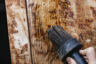 Detailed view of a hand applying varnish to wood, highlighting grain patterns