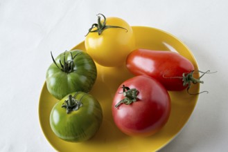 Different types of tomatoes on a yellow plate, green zebra tomatoes and raspberry tomatoes