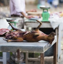 Dog meat for sale at market in Vietnam