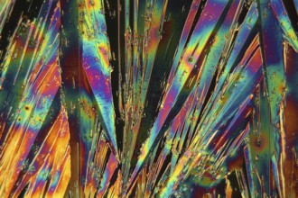 Holmium is a rare earth element and used for different applications in electronics, laser and glass