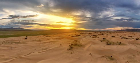 Aerial panorama view of the sand dunes Elsen Tasarhai (Bayan Gobi) desert at sunset in Mongolia