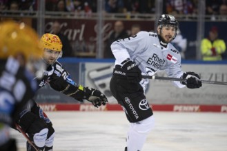 Eisarena Bremerhaven, Bremerhaven, Bremen, Maximilian Gloetzl (Koelner Haie, #22), PENNY DEL,