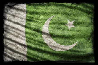 Pakistan Flag, Grunge Texture Background