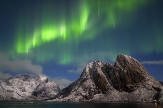 Northern Lights (Aurora borealis), Aurora Borealis, Lofoten, Norway, Europe