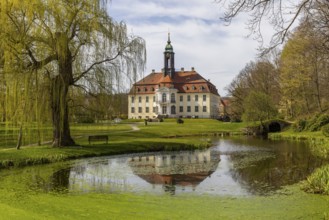 Reinhardtsgrimma Castle in spring, Reinhardtsgrimma, Saxony, Germany, Europe