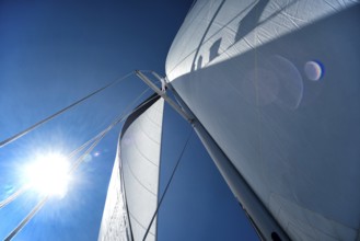 Sail of a sailing yacht in the wind while sailing on the sea