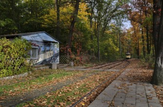 Germany, Berlin, 26.10.2024, Historic tram from Rahnsdorf (stop) to Woltersdorf Schleuse, arrival,