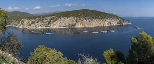 A panorama view of a small ocean cove on the coast of the Peloponnese in Greece with aquaculture