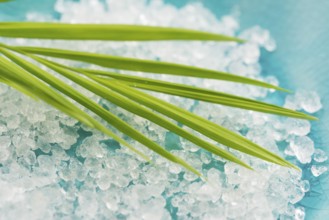 Bath salt and palm leaf