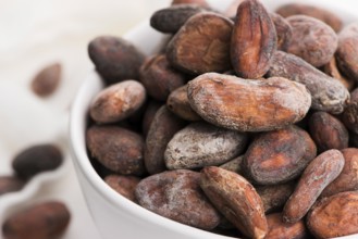 Bowl of cacao beans on a white background