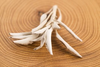 Dried white sage