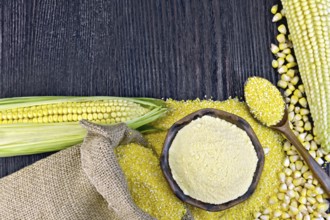 Flour corn in bowl and grits in spoon, cobs and grains maize, a burlap sack on the background of