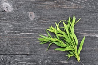 Bunch of fresh green tarragon on a black wooden board background