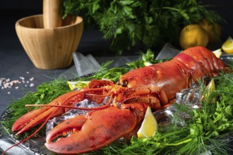 The cooked lobster on ice